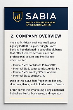 The companies overview